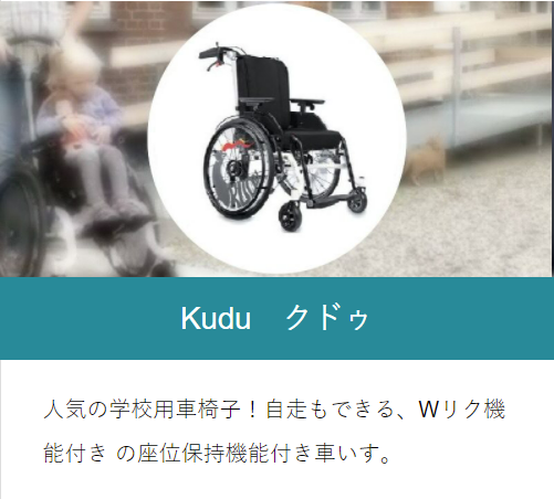 座位保持機能付き子供用車椅子　Kuduクドゥ
